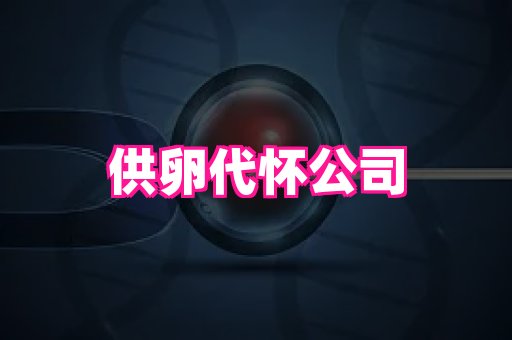 供卵代怀服务-靠谱代怀生子机构——li na